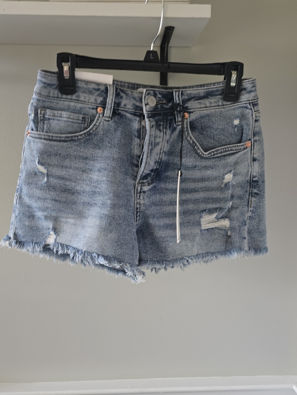 Mica Distressed Denim Shorts